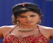 arthipuri850.jpg from tamil actress aarti agarwal sexi doctor pesent h