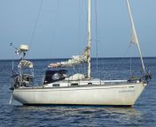 gladiateur33cassiopeia.jpg from 30 to 35