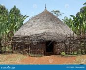 african hut traditional sidama hut sidama village ethiopia sidama ethnic group living southern ethiopia 29756599.jpg from ethiopia vdeosxx ዐማርኛ ወሲብ