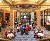 hotel des indes the hague luxury hotel lounge restaurant breakfastpp w768 h511.jpg from hotel des
