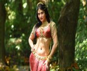 tamil actress shruti haasan widescreen wallpapers.jpg from tamil actress sexndian heroin shruti hassan porn badmasti