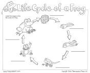 life cycle of a frog blank bw.jpg from 21 page
