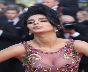 mallika sherawat the beguiled premiere at 70th cannes film festival 04.jpg from molika sarewat