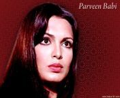 parveen babi wallpaper 1 ixksd indya101dotcom.jpg from bollywood actress praven