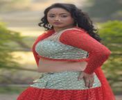 bhojpuri actress rani chatterjee.jpg from rani chatterjee actress bhojpuri neha shree nude photos
