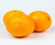 07826 oranges du maroc 8 lb.jpg from orane
