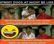 tamil whatsapp jokes img jpeg from whatsapp tamil funy videothan tamil anty sex v