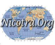 nicotra org logo.jpg from nicotra