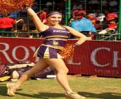 17 hot sexy photos of ipl cheerleaders cheergirls cricket ipl 2015 1.jpg from cheerleader ipl upskirt