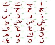 arabic alphabet colour.jpg from arabic gaddama k
