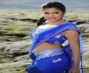 amala paul saree blue exclusive photos.jpg from tamil actress amala paul blue filmunny leone