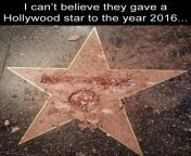 hollywood star funny.jpg from funny hollywood
