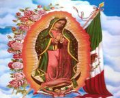 guadalupe jpeg from 12 virgin