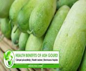 health benefits of ash gourd 2.jpg from kerala man hot hairy body