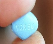 viagra.jpg from puts viagra into glass for fuck her sister