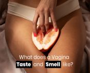what does a vagina taste and smell like 2 jpgv1681202649 from pussy tas