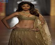 shilpa shetty sexy 39830.jpg from silpa shetty fucked nude by rajasthan royal dravid