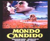 mondo candido boxcover.jpg from candido erptico sex movies