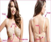 parts of a bra.jpg from how to fit a bra 124 measuring bra size 124 mrbra com lingerie guide