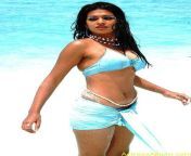 actressalbum com 210.jpg from tamil actress bikini