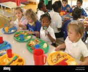 primary school canteen with children eating lunch aaeynp.jpg from school eats