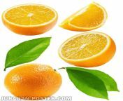 orangefruit 016 0 jpgt1485698332 from ls fruit 016