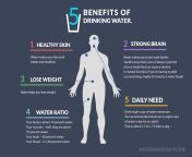 5 benefits of drinking water infographic.jpg from how can drink