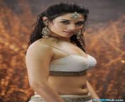 tamannaah hot photos tamil actress sexy photos 2.jpg from xphotos tamil