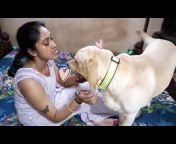 hqdefault.jpg from tamil aunty xvidiosxx doog video 8g