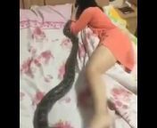 hqdefault.jpg from and woman xxx sex snake tube