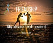 friendship why are some friends so special.jpg from my friend has not played for long time and licks his wife when i go his house my friend is not at his wife39s househe asks me to lick him before his husband comes back free download