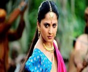 anushka shetty 164959 730x419.jpg from tamil actress anuska shetty thagam
