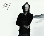 sting sting 59366 1600 1200.jpg from malaysian young must’ve sting
