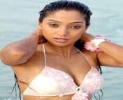  s u ma n 5.jpg from actress suman ranganath hot sexy photosda hot images
