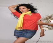rakul preet singh photo shoot gallery.jpg from tamil actress rahul