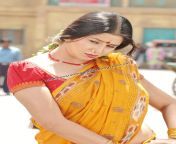 tamil actress sangeetha spicy hot photoshoot stills for dhanam movie 8.jpg from tamil actress sangeetha xxxixxi vidio dewulenda school mitur xvide