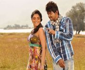 vijay actress asin in kaval karan tamil movie lovestills.jpg from tamil actress asin vijay nude sexশের নায়কা মসোমি à