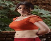 richa gangopadhyay latest hot navel show stills in saree 2.jpg from saree ray boob show