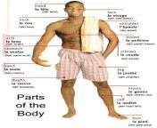 parts of the body.jpg from man body parts name in