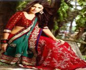 tango red and green designer sari with metallic sap34.jpg from nepali fas