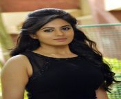 south indian actress deepa sannidhi hd wallpaper1.png from actresses xxximages