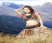 neha sharma latest hot cute gorgeous image wallpapers pictures photoshoot gallery saree stills boobs cleavage navel spicy sizzling 2.jpg from www telugu chiruta neha sharma xxx com