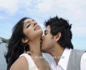 rima kallingal looking hot in new mm production no 1 movie exclusive images 282429.jpg from rimakaligal hot kiss