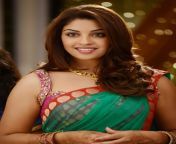 richa gangopadhyay sexy hot photos from bhai movie 1.jpg from tamil actress richa