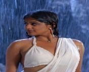 mallu actress priyamani hot wet navel show in saree 2.jpg from mallu hot white saree