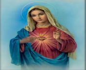immaculate heart of mary.jpg from sxy mary
