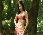 shruti haasan hot and sexy navel 28229.jpg from saab actress night nudex shruti hasanww indian bhabi sex 3g