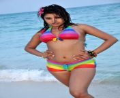 mona hot spicy gallery 2.jpg from www tamil actress mona sexy com