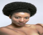afro2.jpg from african hair