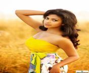 top 20 bollywood hot spicy and bold actress 9.jpg from www hindi all heroine sexy video download com